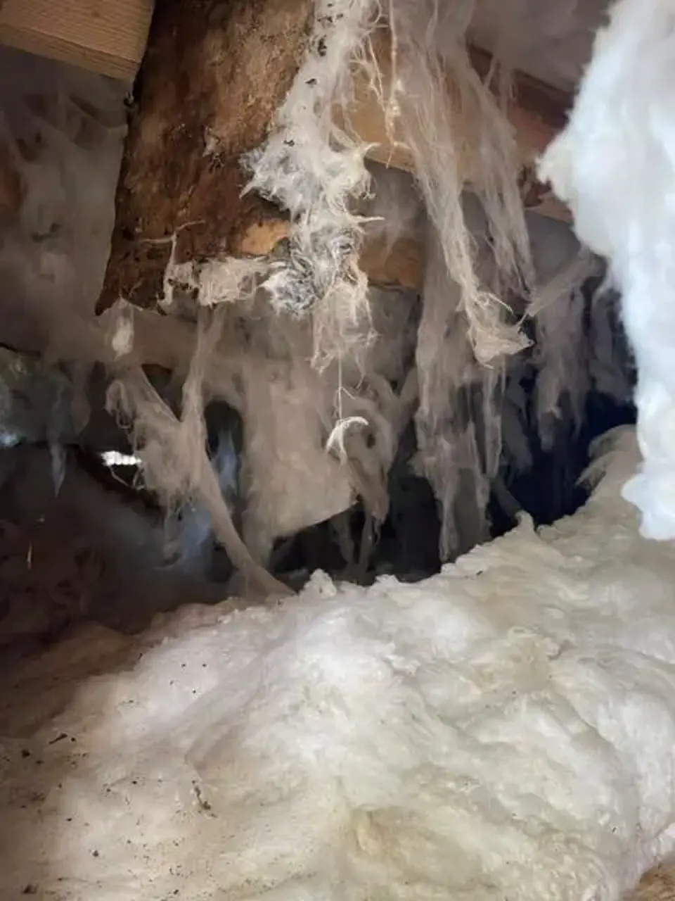 Moisture Barriers Before