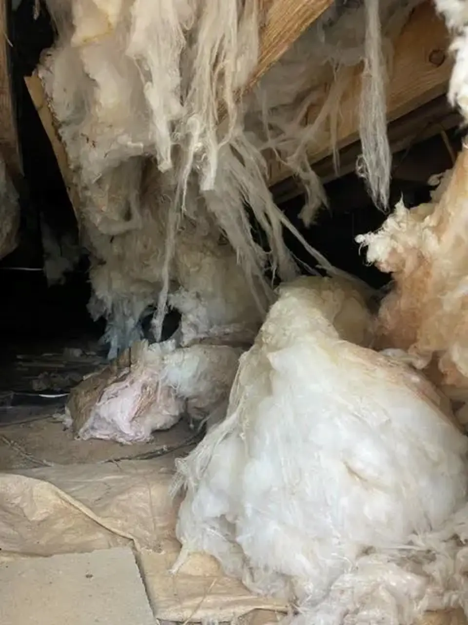 Moisture Barriers Before